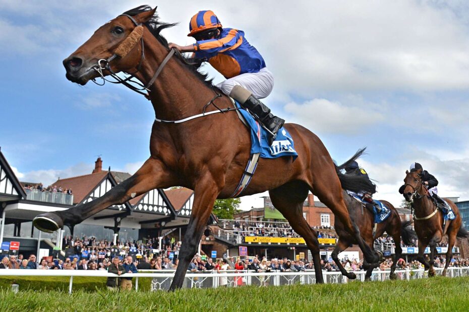 Best Horse Racing Gambling Sites